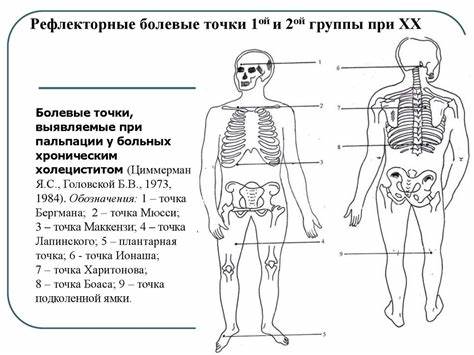 Дисфункция билиарного тракта Хронический бескаменный холецистит Картинка - Дисфункция билиарного тракта Хронический бескаменный холецистит