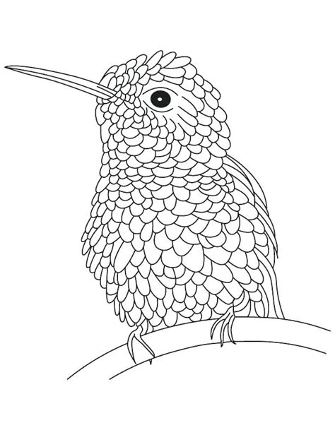 So we've gathered all the good ones (at least by our standards) all in one place. Hummingbird Line Drawing at GetDrawings | Free download