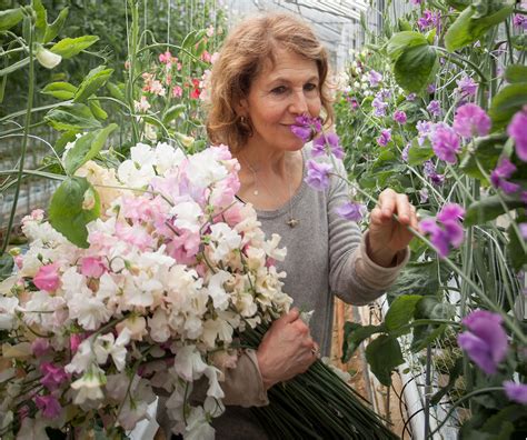 How To Grow Sweet Peas In A Pot The Real Flower Company Blog
