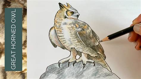 Details 71 Great Horned Owl Sketch Ineteachers