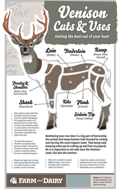 Elk Meat Cuts Diagram Wiring Diagram Pictures