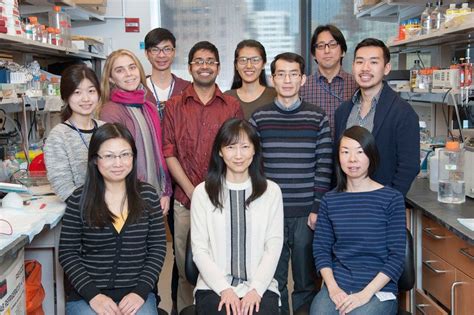 The Emily Cheng Lab Memorial Sloan Kettering Cancer Center