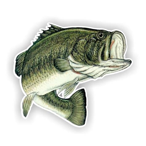 Largemouth Bass Fish Precision Cut Decal Sticker