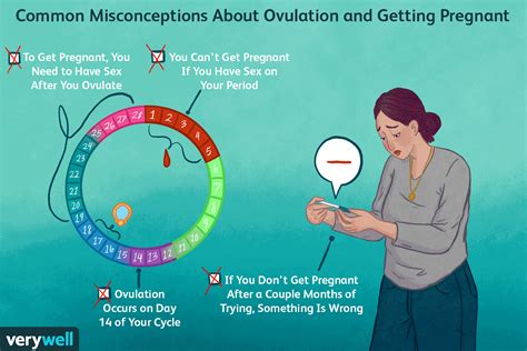 Menstrual Cycle Discharge After Ovulation If Pregnant Menstrual Cycle