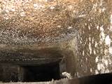 Images of Hvac Duct Mold Removal