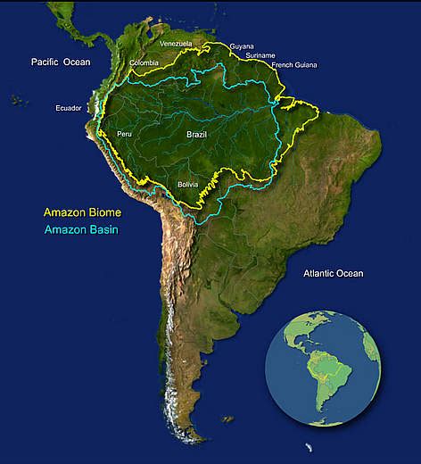 Amazon River Location On World Map