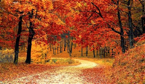 Breathtaking Locations to Experience Fall Colors - Traveling Monarch