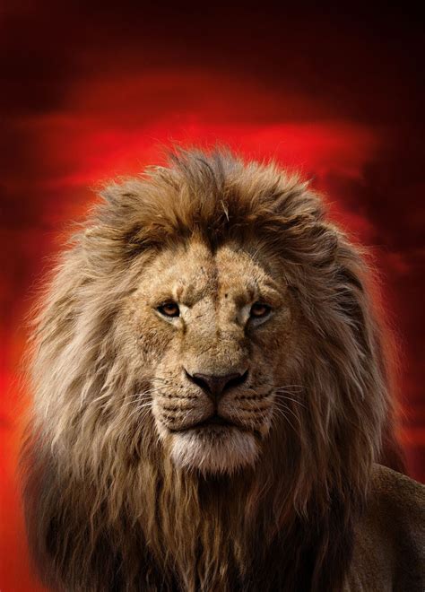 How to draw lion king. The Lion King (2019) | MUFASA textless by mintmovi3 on ...