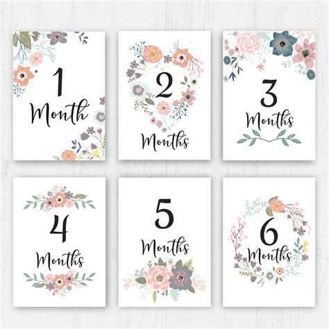 Baby Monthly Milestone For Baby Girl Printable Baby Month Card Etsy