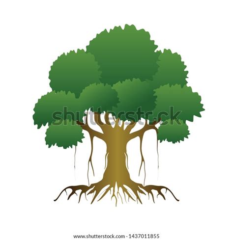 Oak Tree Roots Vector Isolated Stock Vector Royalty Free 1437011855