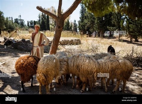 Nazareth Village Recreating Nazareth In The Time Of Jesus Nazareth