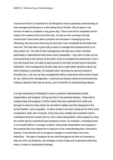 Global Perspectives Reflective Essay Sample How To Write A Reflection