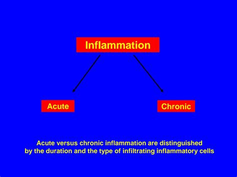 Solution Acute Inflammation Ppt Studypool