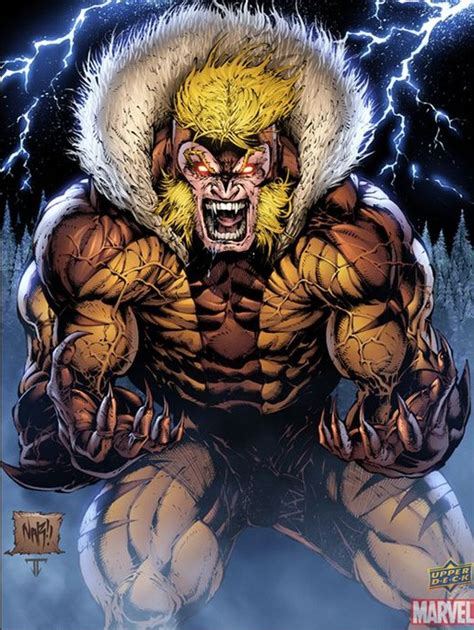 Sabertooth Sabretooth Marvel Marvel Comics Superheroes Comics