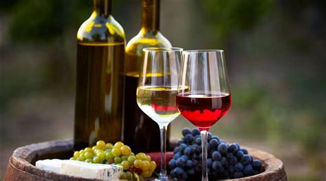 Все 1 плейлист 54 трека. Vins bio: le marché français devrait quasiment doubler d ...