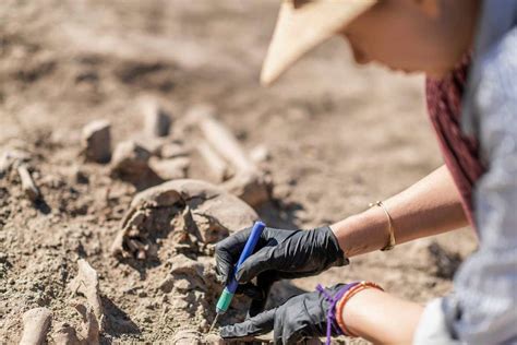 Archaeology Excavating Ancient Human Remains With Digging Tool Kit