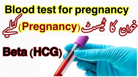What is beta hcg test for pregnancy? What Is a Blood Pregnancy Test in urdu | Quantitative hCG Blood Pregnancy Test | Beta HCG Blood ...