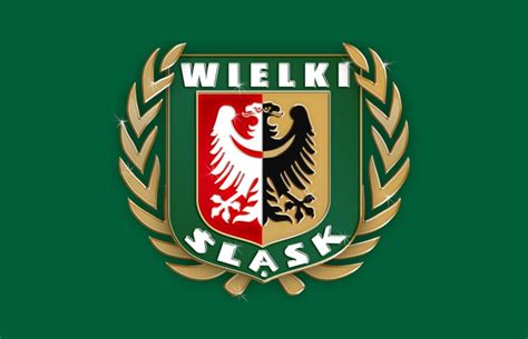85`żółtą kartką ukarany dudu paraiba. Kibice Śląska Wrocław włączają się do pomocy chorej Pani ...