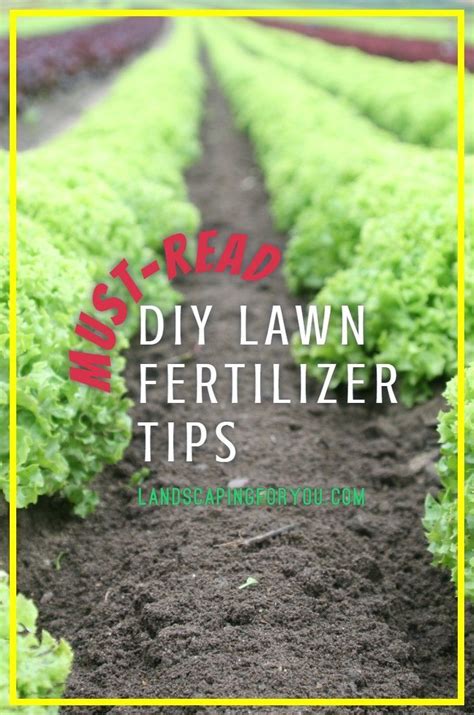 Spread any of these homemade lawn fertilizers across your lawn once every week or two until you achieve your desired look. Searching for simple ways to make natural way lawn fertilizer? Read these ideas ... - Modern ...