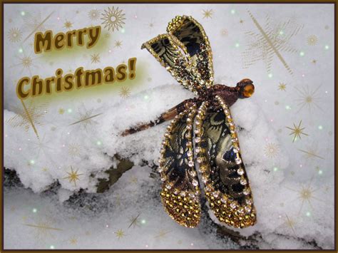 Christmas Dragonfly Photo And Image Greeting Cards Christmas Art And