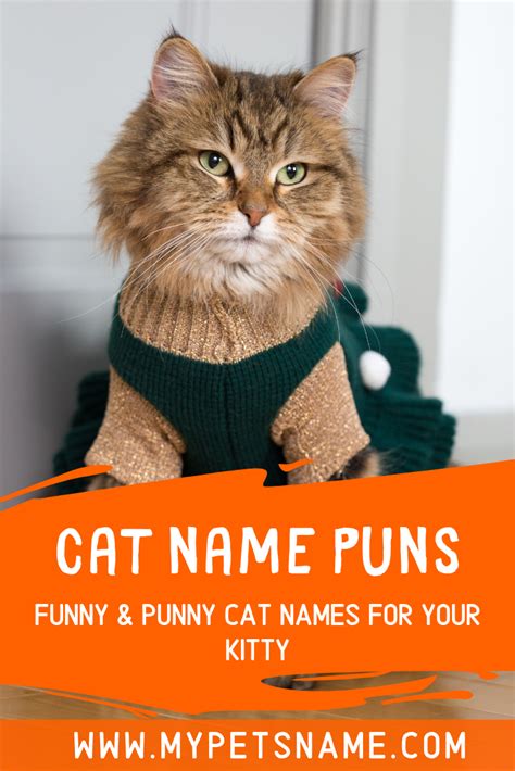 Cat Name Puns Cat Names Cat Puns Cat Pun Names