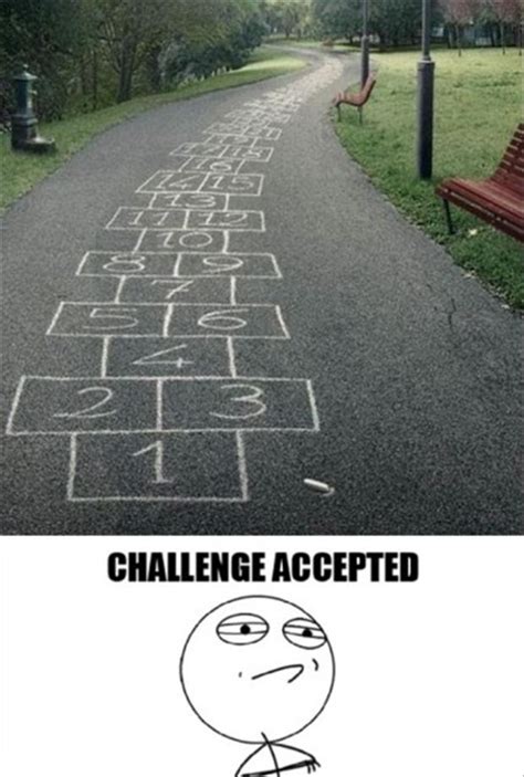 Best Of Challenge Accepted Meme 36 Pics