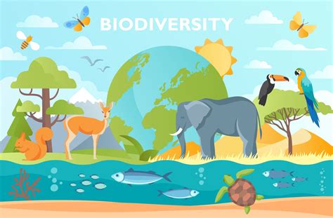 International Day For Biological Diversity Biodiversity And Ecosystems