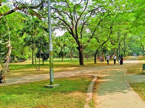 js body for development beautification of ramna park the asian age online bangladesh