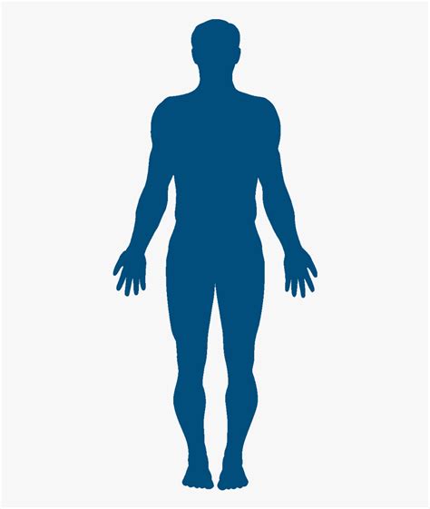Vector Graphics Clip Art Silhouette Human Body Stock Silhouette Of A