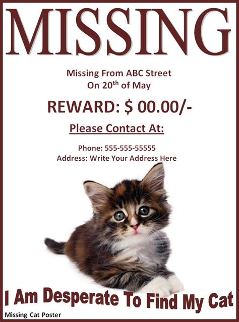 Lost Pet Poster Template Ks1 Lost Pet Template Printable Flyer Cat