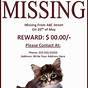Free Printable Lost Pet Flyer