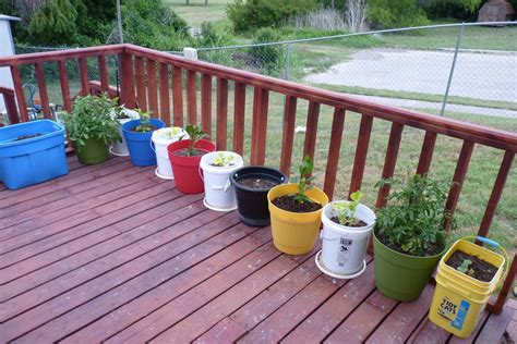 Container water gardens can be step on your porch, patio, or even the deck. Container Gardening on a Deck | ThriftyFun