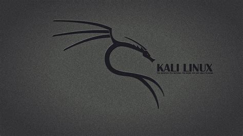 Kali Linux Wallpapers 1920x1080 - Wallpaper Cave