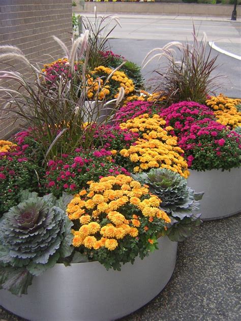 We compiled 62 purple flowers and their care instructions. Fabulous Fall Flower Containers | Fall container gardens ...