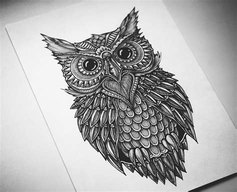 Doodle Owl on Behance