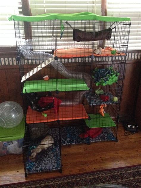 Ferret cage tour 2020 this is a cage tour of one of our ferrets smokey we hope you enjoyed this video and comment if you have. c&c cage for ferret | DIY Ferret Cage | DIY/Crafting | Pinterest | Walmart, Little boys and Boys