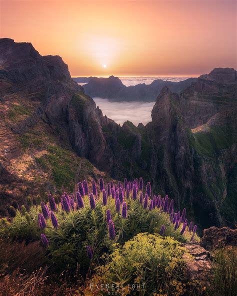 Dracarys Above The Clouds An Amazing Sunset On Madeira Portugal