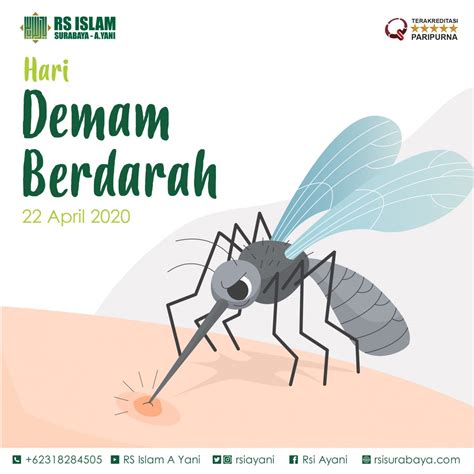 Hari Demam Berdarah – RS Islam Surabaya