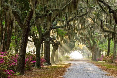 Top 10 Things To Do In Savannah Georgia