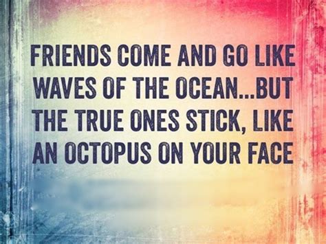The insights below will help you place the right value on your relationships. 40 Dumbass Best Friends Quotes With Pictures