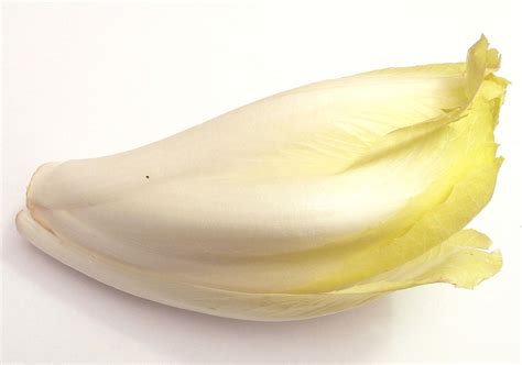 Best Braised Belgian Endive Witloof Recipes For Appertizers Side