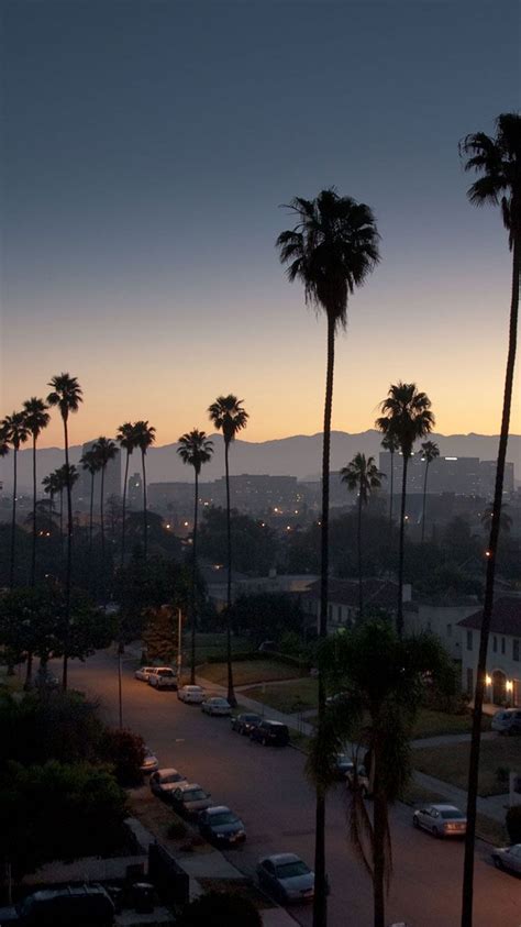 Los Angeles Palm Trees Wallpapers On Wallpaperdog