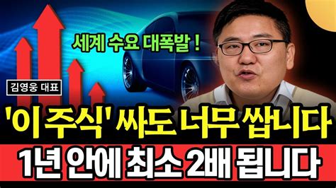 세계 수요 대폭발 이 주식 싸도 너무 쌉니다 1년 안에 최소 2배 됩니다 김영웅 대표 2부 Youtube