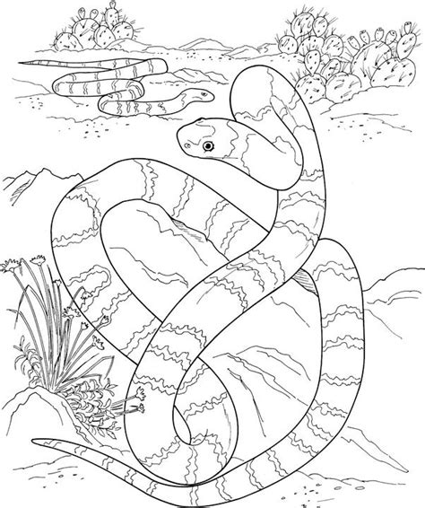 Coloring pages for adults snake. Snake Coloring Pages (10) - Coloring Kids