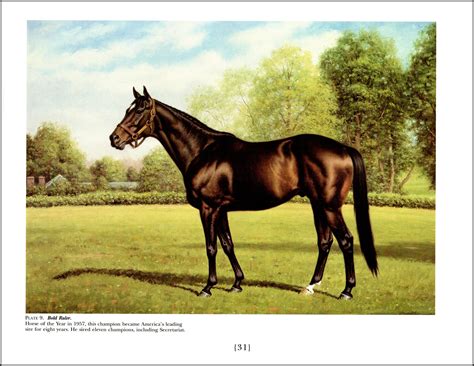 Bold Ruler Painted By Richard Stone Reeves Race Horses Etsy Bold