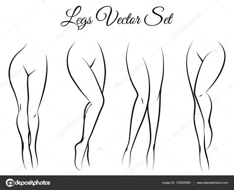 Download Woman Legs Vector Set Stock Illustration Download Woman Legs Vector Set Stock