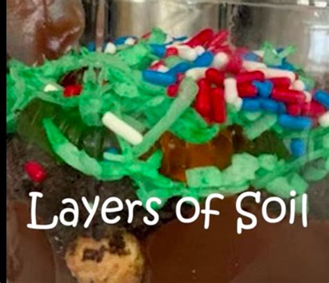 Edible Soil Layers Nutrients For Life