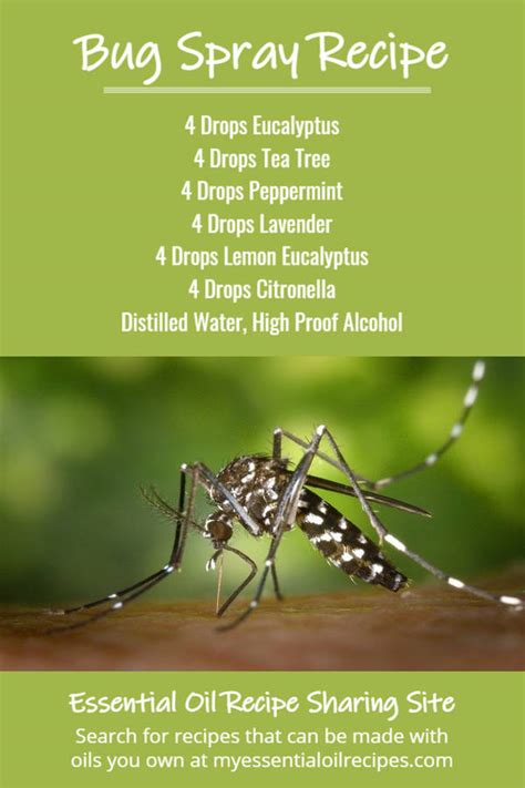 Essential Oil Bug Spray Recipe An All Natural Homemade Spray