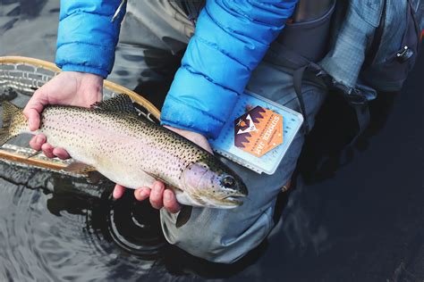Five Tips For Fishing In The Sierras Gander Outdoors