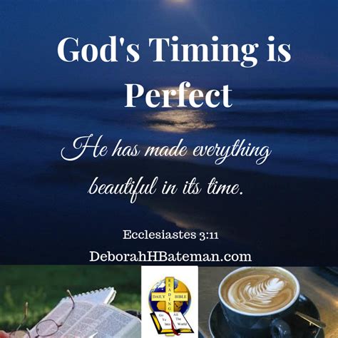 Daily Bible Reading Gods Timing Is Perfect Ecclesiastes 311